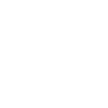 shinad holdings logo white
