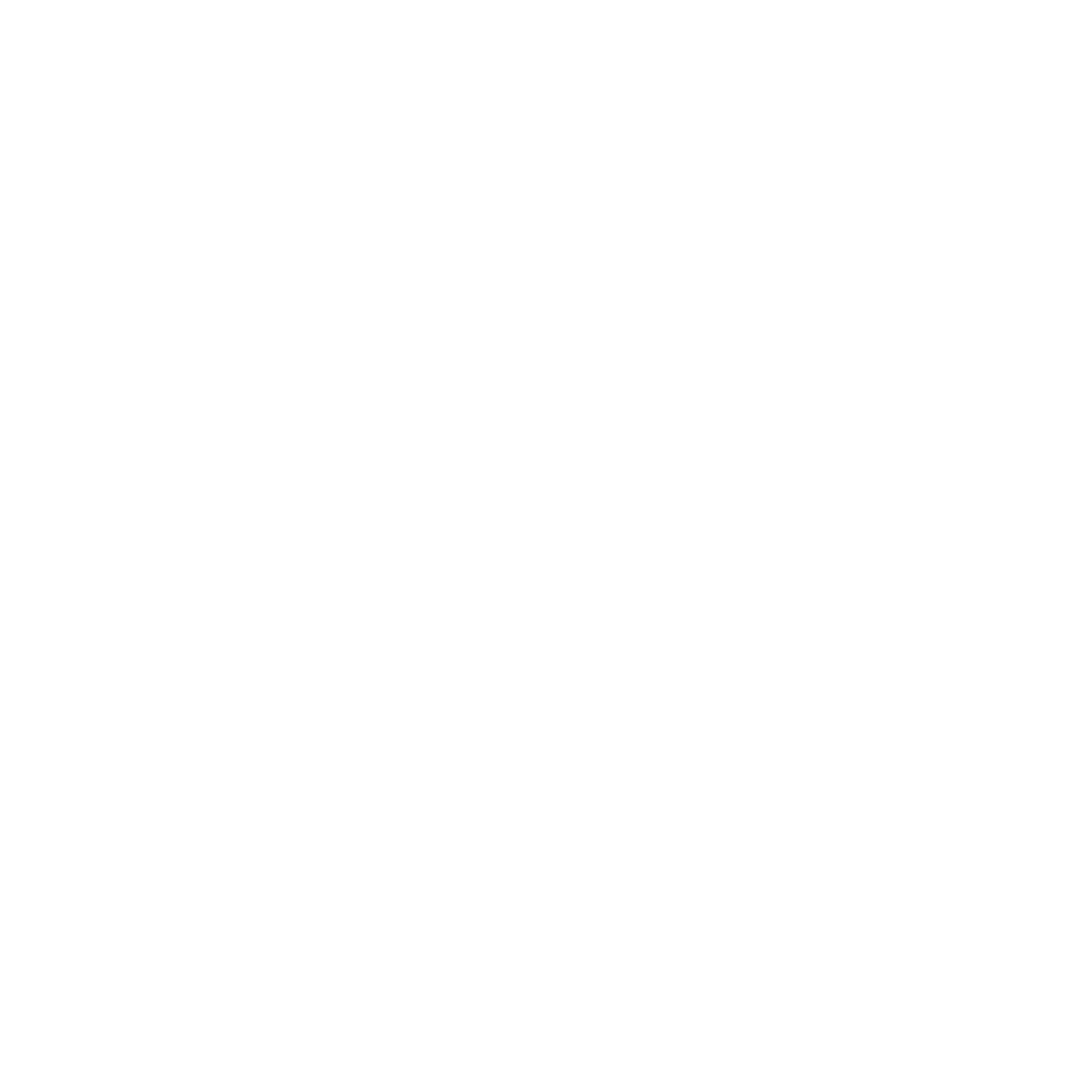 shinad holdings logo white